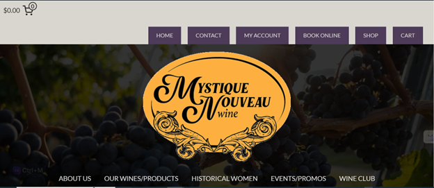 Screenshot of Ecommerce class website