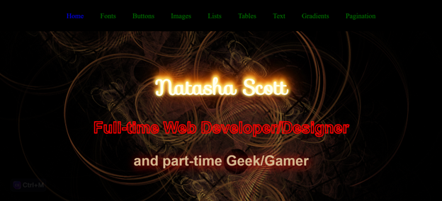 CSS Design Project screenshot
